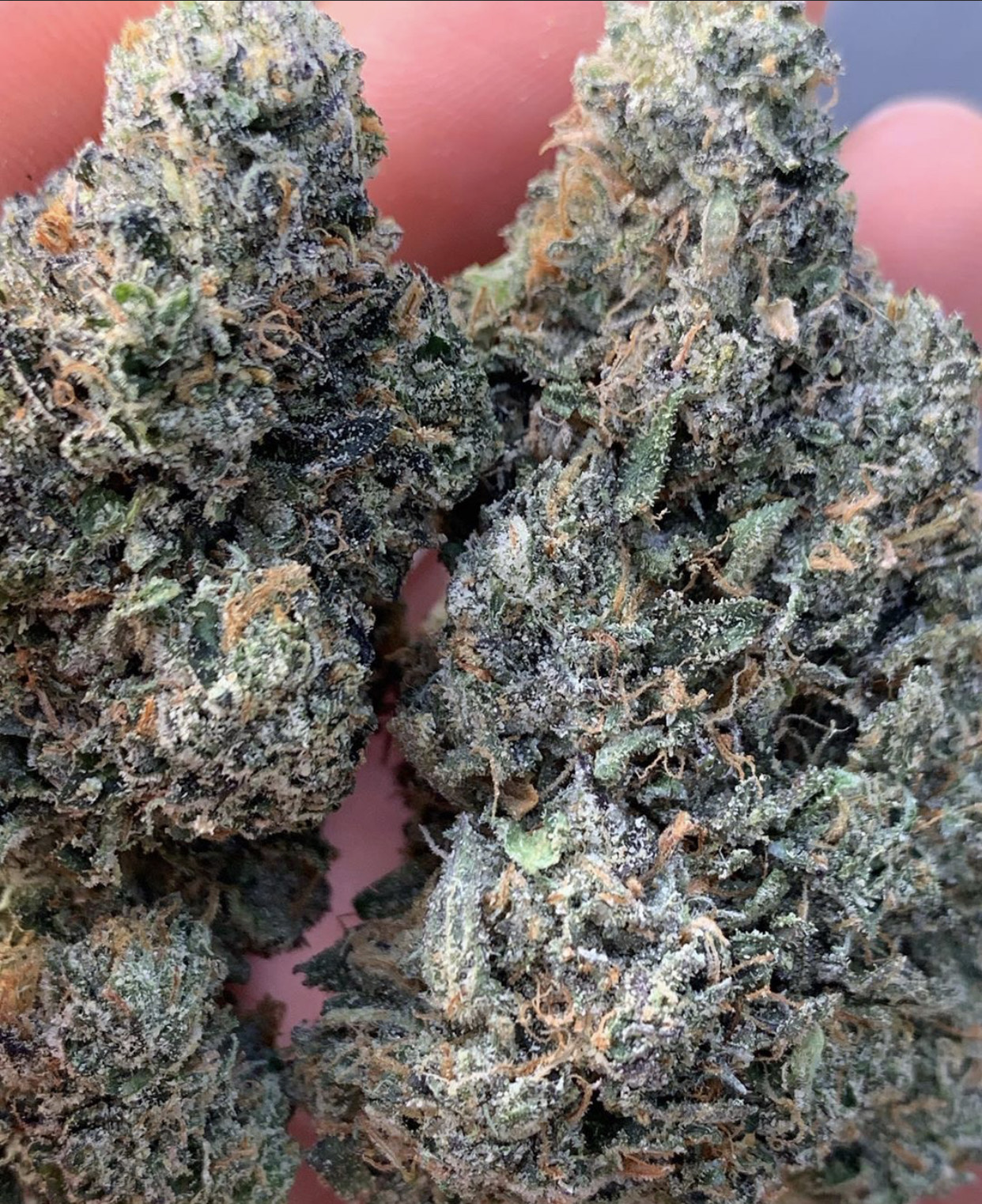 La Zkittlez 2 1