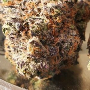 ghostscotti Geist Grow rotated 2