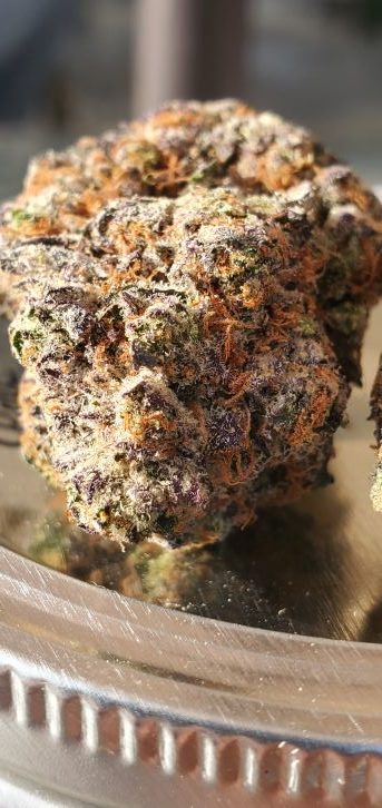 ghostscotti Geist Grow rotated 2